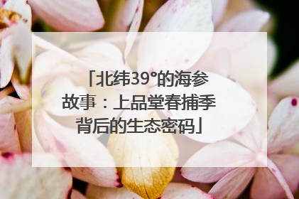 北纬39°的海参故事：上品堂春捕季背后的生态密码