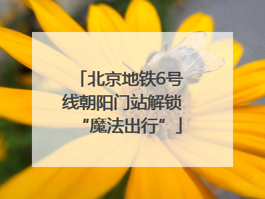 北京地铁6号线朝阳门站解锁“魔法出行”