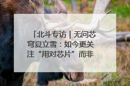 北斗专访｜无问芯穹夏立雪：如今更关注“用对芯片”而非“用贵芯片”