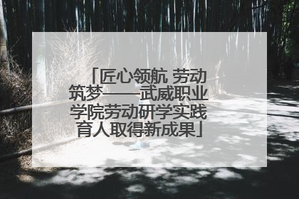 匠心领航 劳动筑梦——武威职业学院劳动研学实践育人取得新成果