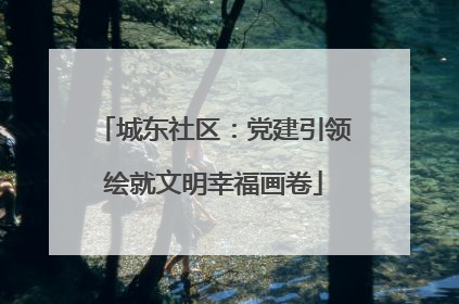 城东社区：党建引领绘就文明幸福画卷
