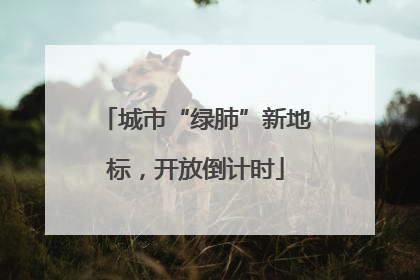 城市“绿肺”新地标，开放倒计时