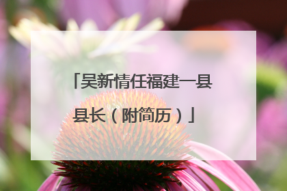 吴新情任福建一县县长（附简历）