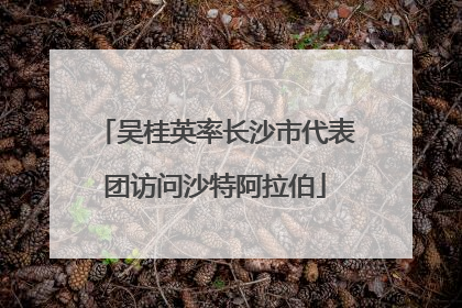 吴桂英率长沙市代表团访问沙特阿拉伯