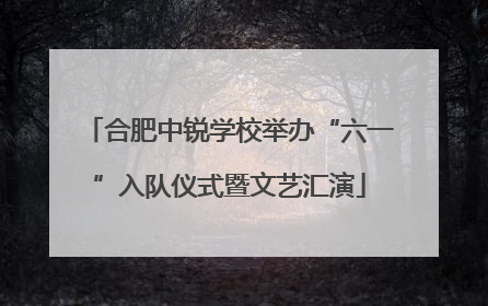 合肥中锐学校举办“六一”入队仪式暨文艺汇演
