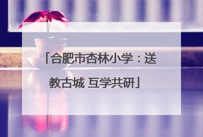 合肥市杏林小学：送教古城 互学共研
