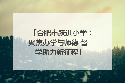 合肥市跃进小学：聚焦办学与师德 督学助力新征程