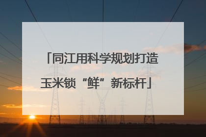 同江用科学规划打造玉米锁“鲜”新标杆
