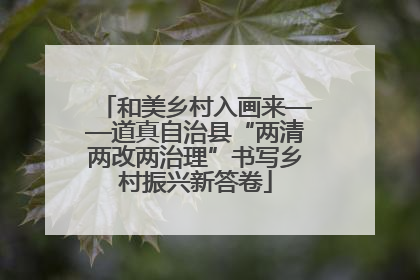 和美乡村入画来——道真自治县“两清两改两治理”书写乡村振兴新答卷