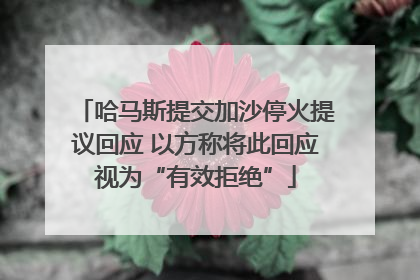 哈马斯提交加沙停火提议回应 以方称将此回应视为“有效拒绝”