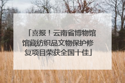 喜报！云南省博物馆馆藏纺织品文物保护修复项目荣获全国十佳