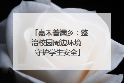 嘉禾普满乡：整治校园周边环境 守护学生安全