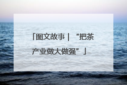 图文故事｜“把茶产业做大做强”