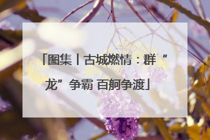 图集丨古城燃情：群“龙”争霸 百舸争渡