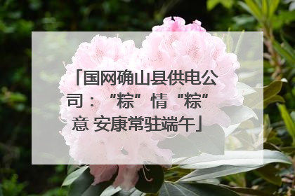 国网确山县供电公司：“粽”情“粽”意 安康常驻端午