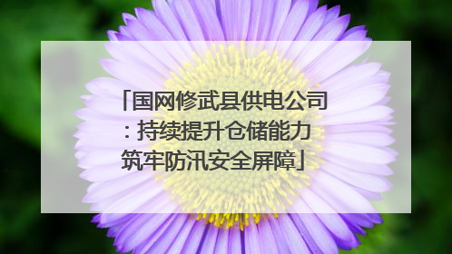 国网修武县供电公司：持续提升仓储能力 筑牢防汛安全屏障