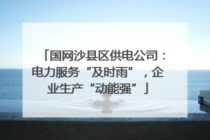 国网沙县区供电公司：电力服务“及时雨”，企业生产“动能强”