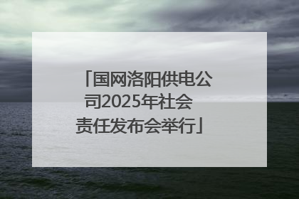 国网洛阳供电公司2025年社会责任发布会举行
