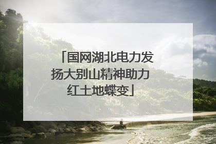 国网湖北电力发扬大别山精神助力红土地蝶变
