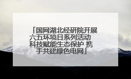 国网湖北经研院开展六五环境日系列活动 科技赋能生态保护 携手共建绿色电网