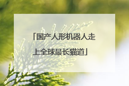 国产人形机器人走上全球最长猫道