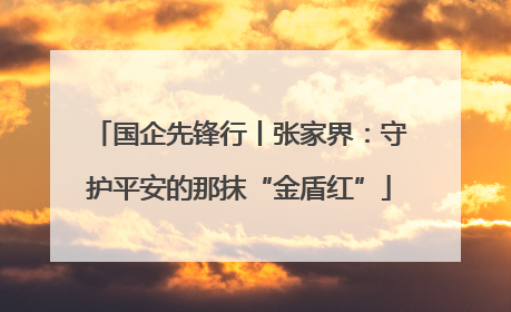 国企先锋行丨张家界：守护平安的那抹“金盾红”