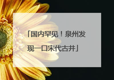国内罕见！泉州发现一口宋代古井