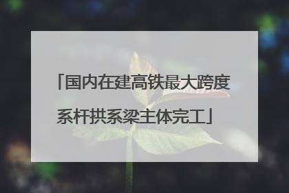 国内在建高铁最大跨度系杆拱系梁主体完工