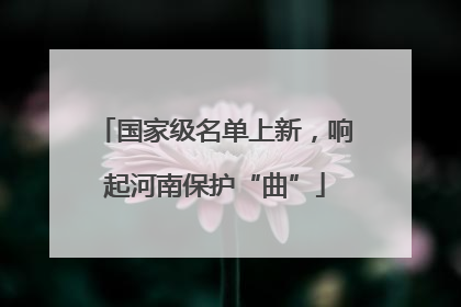 国家级名单上新，响起河南保护“曲”