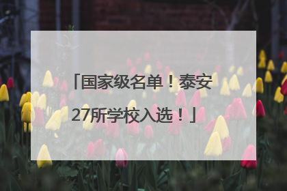 国家级名单！泰安27所学校入选！