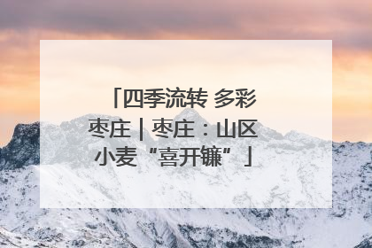 四季流转 多彩枣庄｜枣庄：山区小麦“喜开镰”