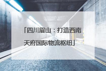 四川眉山：打造西南天府国际物流枢纽