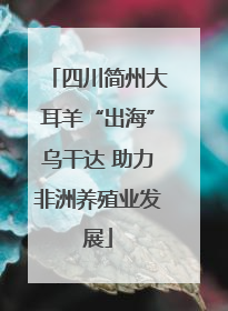 四川简州大耳羊“出海”乌干达 助力非洲养殖业发展