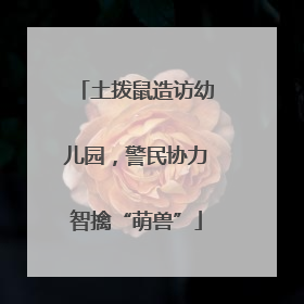 土拨鼠造访幼儿园，警民协力智擒“萌兽”