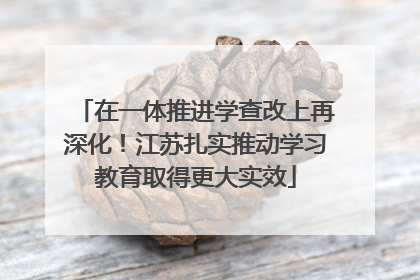 在一体推进学查改上再深化！江苏扎实推动学习教育取得更大实效