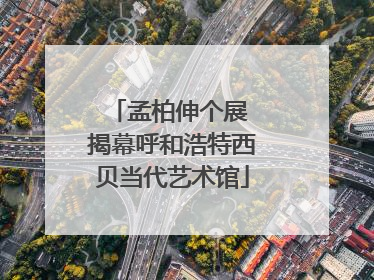孟柏伸个展 揭幕呼和浩特西贝当代艺术馆