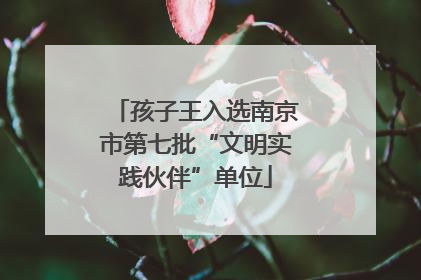 孩子王入选南京市第七批“文明实践伙伴”单位