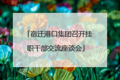 宿迁港口集团召开挂职干部交流座谈会