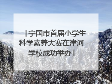 宁国市首届小学生科学素养大赛在津河学校成功举办