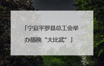 宁夏平罗县总工会举办插秧“大比武”
