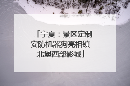 宁夏：景区定制安防机器狗亮相镇北堡西部影城