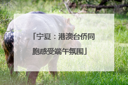 宁夏：港澳台侨同胞感受端午氛围