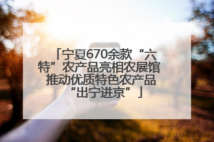 宁夏670余款“六特”农产品亮相农展馆 推动优质特色农产品“出宁进京”