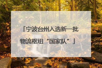 宁波台州入选新一批物流枢纽“国家队”