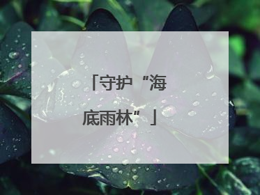 守护“海底雨林”
