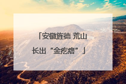 安徽旌德 荒山长出“金疙瘩”