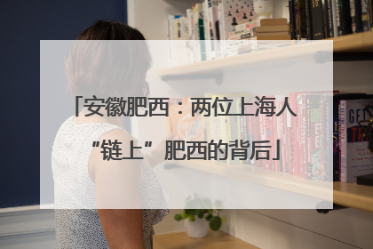 安徽肥西：两位上海人“链上”肥西的背后