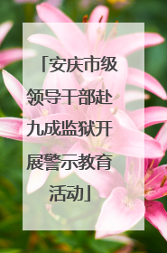 安庆市级领导干部赴九成监狱开展警示教育活动