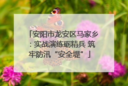 安阳市龙安区马家乡：实战演练砺精兵 筑牢防汛“安全堤”
