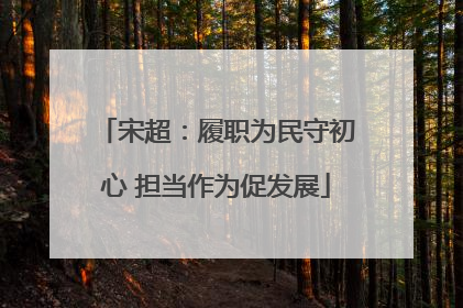 宋超：履职为民守初心 担当作为促发展